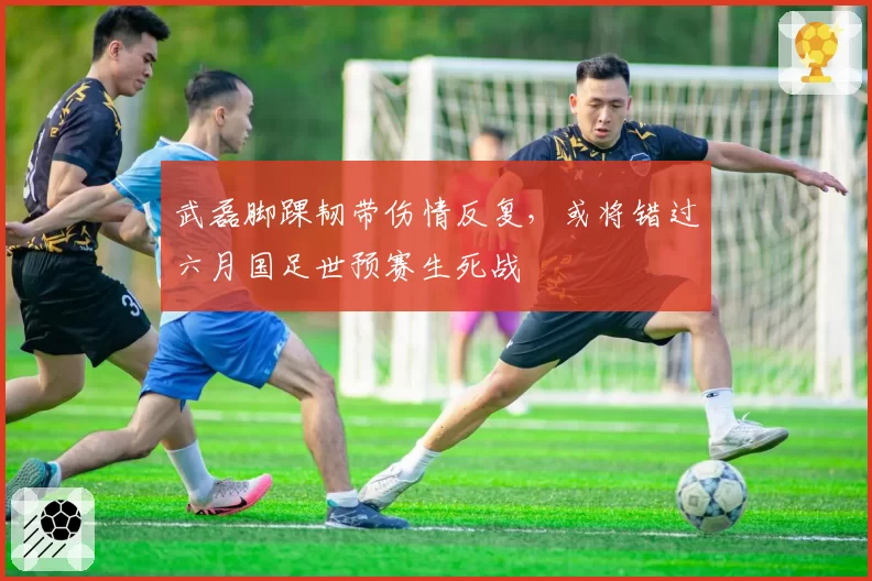 武磊脚踝韧带伤情反复，或将错过六月国足世预赛生死战